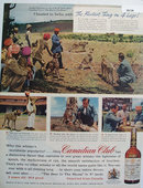 Canadian Club Whiskey Cheetah Hunt 1957 Ad