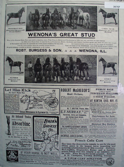 Products For Horses By Mail 1902 Ad