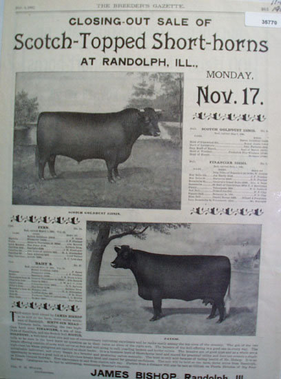Scotch Topped Short Horn Sale 1902 Ad