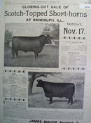 Scotch Topped Short Horn Sale 1902 Ad