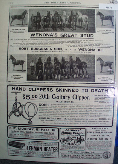 Horses And Related Products 1902 Ad