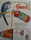 Karo Waffle Syrup Parrot 1959 Ad