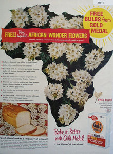 Gold Medal Flour African Flowers 1958 Ad