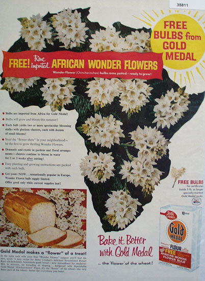 Gold Medal Flour African Flowers 1958 Ad
