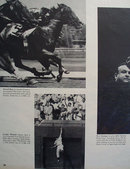 Years Best Sport Pictures 1953 Pictures