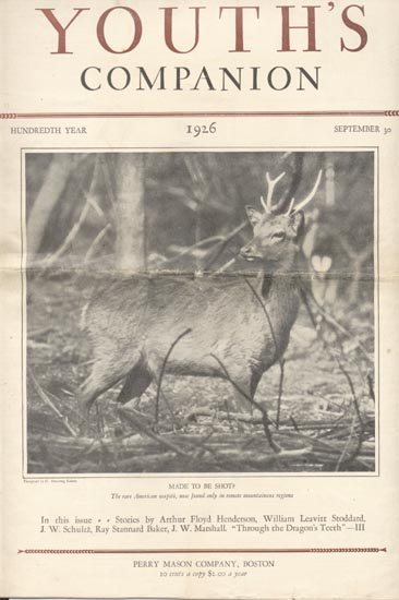 1926 picture of Rare Wapiti, photo by Roberts
