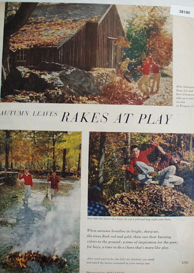 Rakes At Play 1959 Fall Pictures