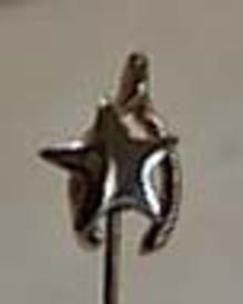 Stickpin Star & Wishbone