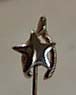 Stickpin Star & Wishbone