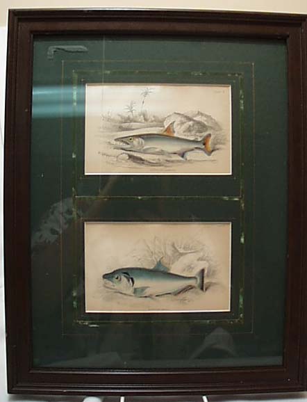 Two Fish Prints Framed This is two prints of