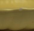 Haeger matt yellow Pheasants & Shell (3)
