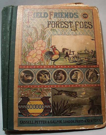 Field Friends And Forest Foes Phillis Browne