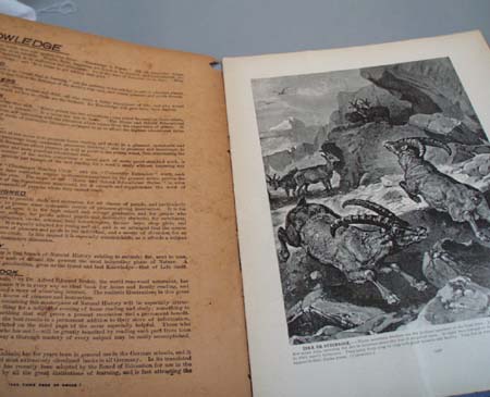 Brehm's Life of Animals Booklet