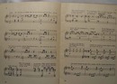 Oscar Wilde Book Nightingale Rose 1911