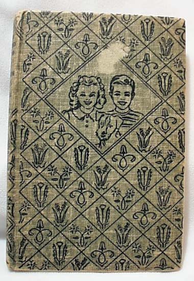 Bobbsey Twins At Pilgrim Rock by Laura Hope