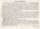 National Audubon Society Mammal Card Woodchuc