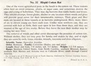 National Audubon Soc Mammal Card Cotton Rat
