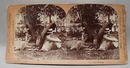 Stereo Card #2347 After Marriage