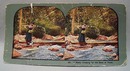 Stereo Card #421 Risky Crossing For Trout
