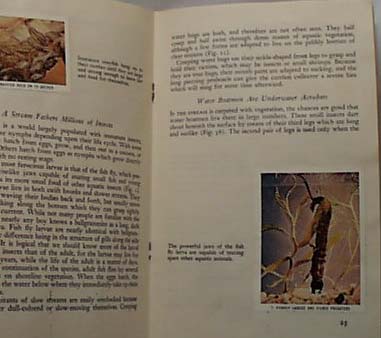 National Audubon 1955 Life in Flowing Waters