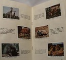National Audubon 1954 Animal Children Book