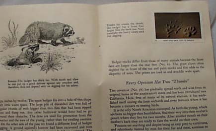 National Audubon 1956 Tracks & Trails Book