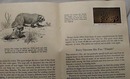 National Audubon 1956 Tracks & Trails Book