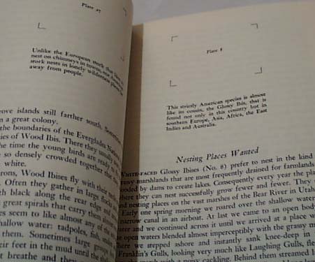 National Audubon 1956 Book Water Birds