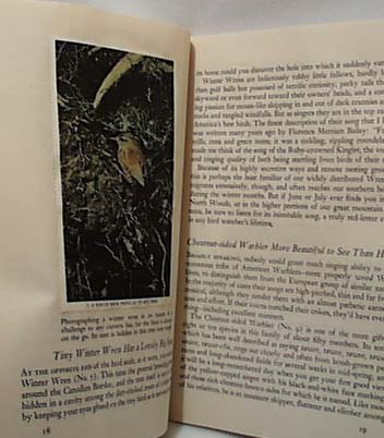 National Audubon 1954 Best Loved Song Birds