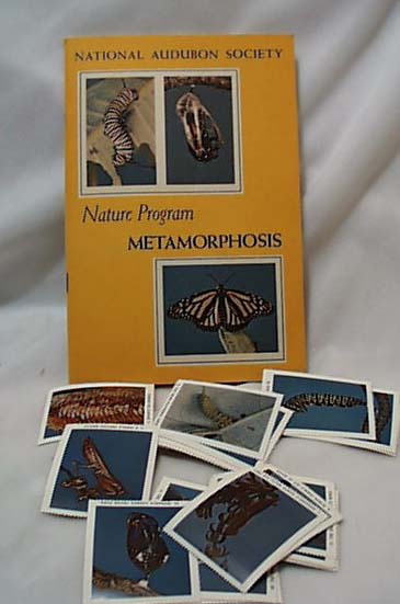 National Audubon 1955 Metamorphosis Book