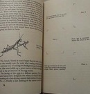 National Audubon 1955 Metamorphosis Book