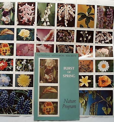 National Audubon 1955 Burst of Spring Book