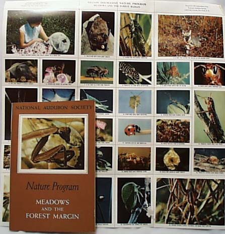 National Audubon 1956 Meadows and the Forest