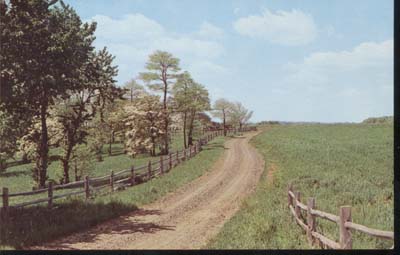 Postcard of Amish Country