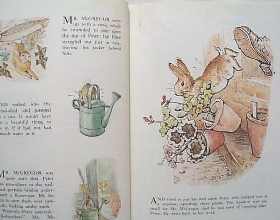 Peter Rabbit by Beatrix Potter Book