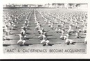 WWII Navy Photo Mac Progress in Calisthenics