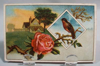 Lion Coffee Woolson Spice victorian trade card
