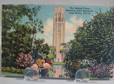 Singing Tower Post card with flamingos
