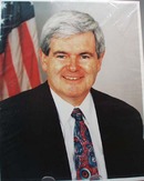 Newt Gingrich Photo House Speaker