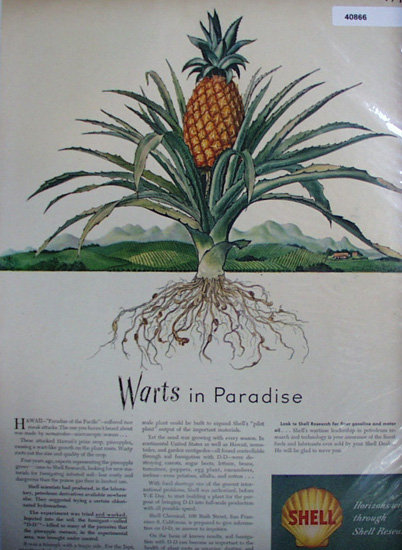Shell Research 1945 Ad