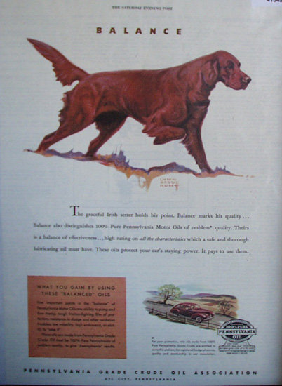 Pennsylvania Oil 100 Per Cent Pure 1945 ad irish setter