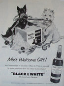 Black And White Scotch Whiskey 1959 Ad