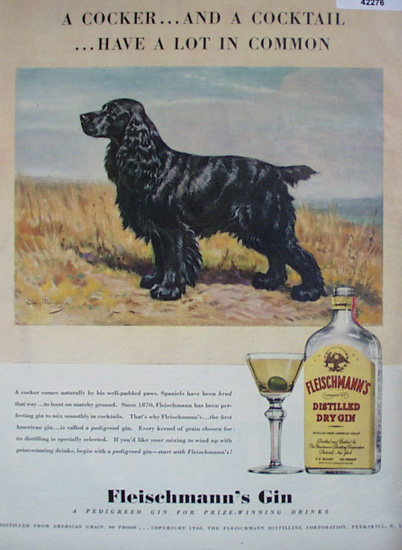 Fleischmanns Gin 1940 Ad