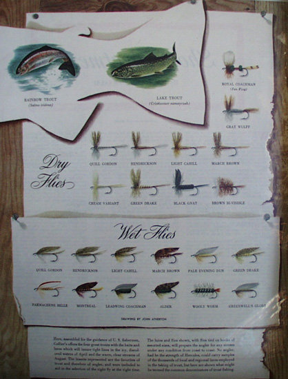 Fish, Bait Artificial And Natural 1950 Article