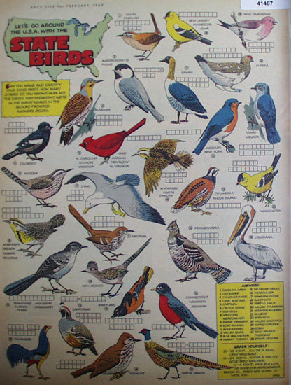 State Birds 1963 Article And Quiz