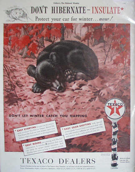 Texaco Dealers Don't Hibernate Insulate 1939 Ad