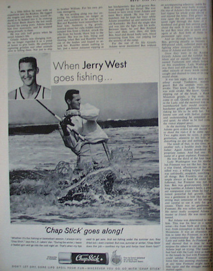 A Man And 4 Grizzlies Old Bruin 1962 Article.