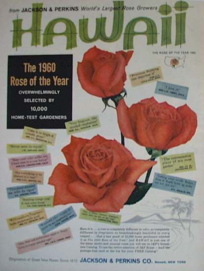 Jackson And Perkins Co. 1960 Ad