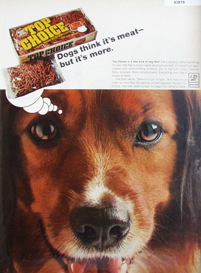 Top Choice Dog Food 1967 Ad.