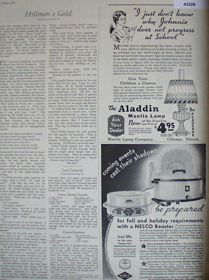 Aladdin Lamp And Nesco Roaster 1935 Ad